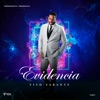 Evidencia - Single