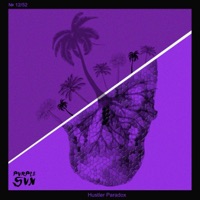Hustler Paradox - Single - Purple Sun