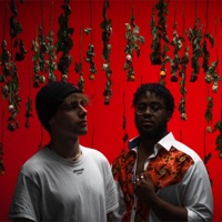 tausend rosen - Single - prttyblu & Tamu