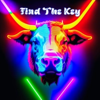 Find the Key - Single - Yung Stawn Shown