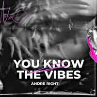 You Know the Vibes - Single - Andre Right