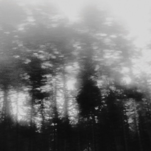 The Cold Light - EP