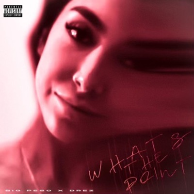What's the Point (feat. Drez) - Single