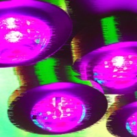 Pure Lightt - Single - triiwave