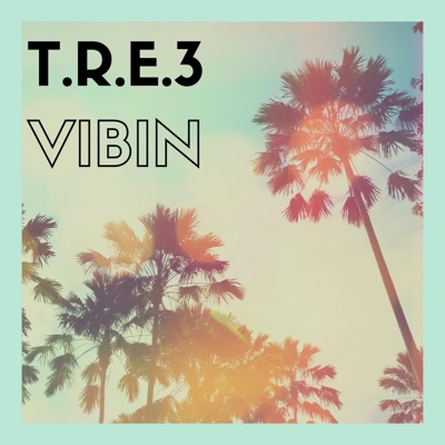 VIBIN - Single