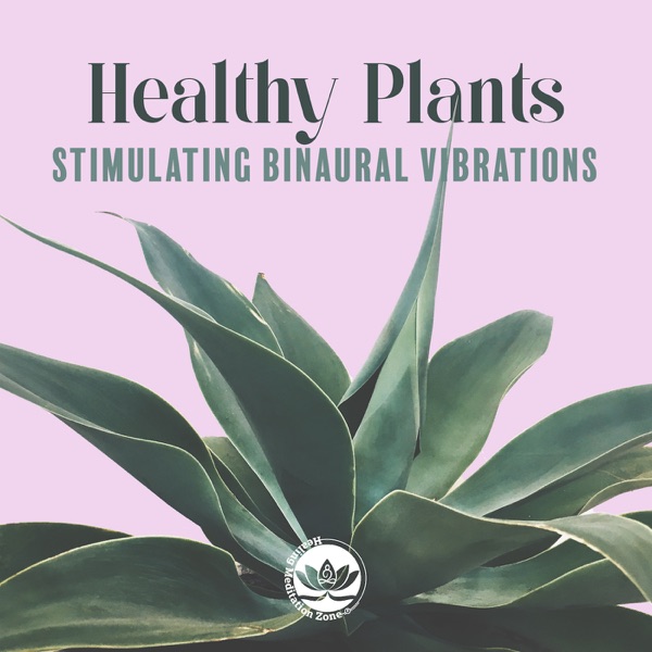 Healthy Plants: Stimulating Binaural Vibrations for Plants Growth