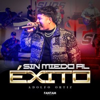 Sin Miedo al Éxito - Single - Adolfo Ortiz