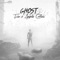 Ghost (feat. Amanda Collins) - Fin lyrics