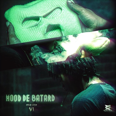 Mood de bâtard (feat. VI) - Single