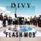 Divy - Flash Mob (167 records) - Divy lyrics