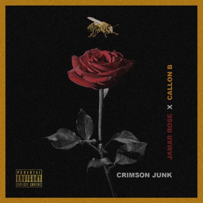 CRIMSON JUNK - EP