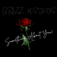 Something About You (feat. M-Status) - Single - Sporty G.