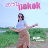 Santri Pekok artwork