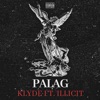 Palag (feat. ILLICIT) - Single