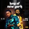 King of New York (feat. Igbotic Deejay Don) - Single