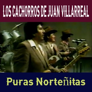 Los Machetes