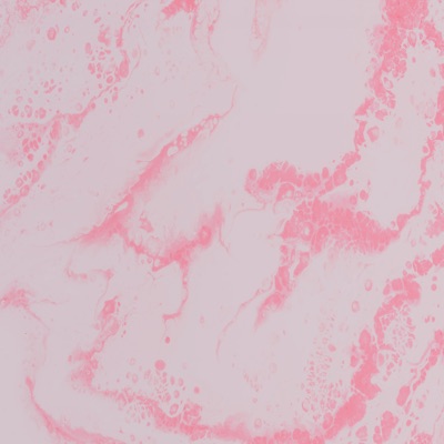 fall in love (feat. Leaph) - Single