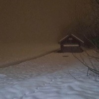 Too Much - Single - dylan lotus & vislyn