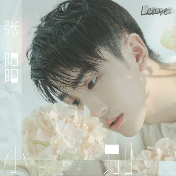 小别 - Single