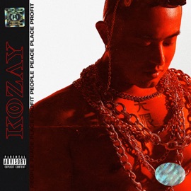 潇洒科维奇 Kozay