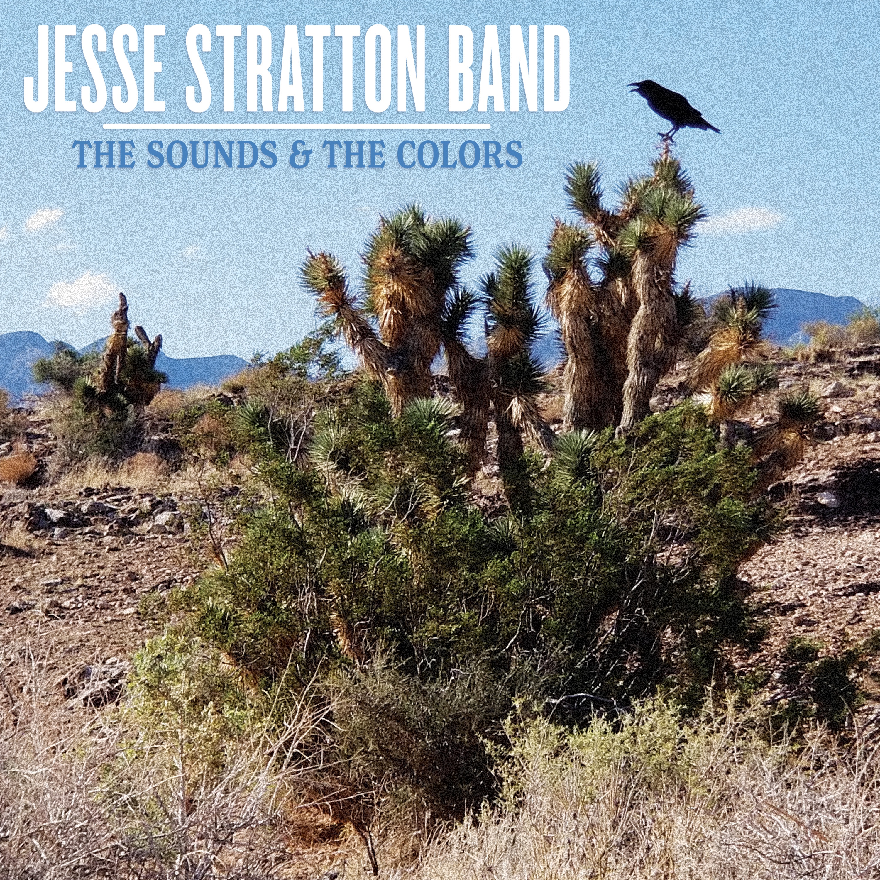 The Sounds & the Colors