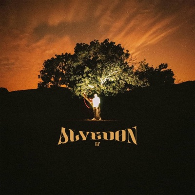 Alvedon