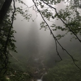 brittle bones Kurtis