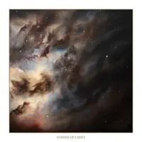 Echoes of Light — Chapel Of Disease