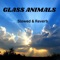 Glass Animals - Yenkee Singh lyrics