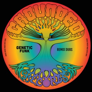 Pray for Me (Genetic Funk 420 Album Mix)