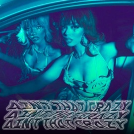 AIN'T THAT CRAZY Psylock