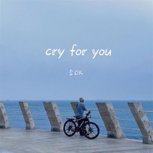 cry for you - Single