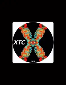 Listen to TKG, watch music videos, read bio, see tour dates & more!