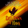 Call Down the Hawk - Maggie Stiefvater