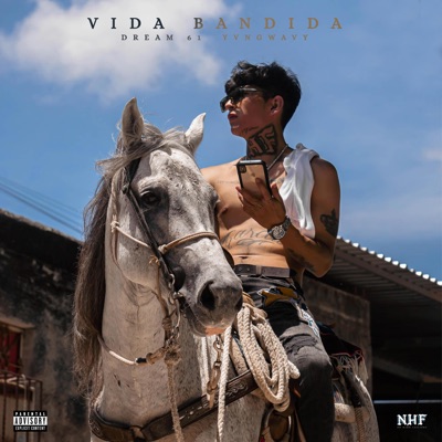 Vida Bandida (feat. DREAM 61) - Single