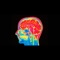 Nmw - Supremeduff lyrics