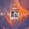 Wonderland - Stan Juzo lyrics