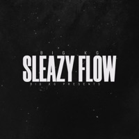 Sleazy Flow - Single - BIG KG