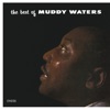 Muddy Waters