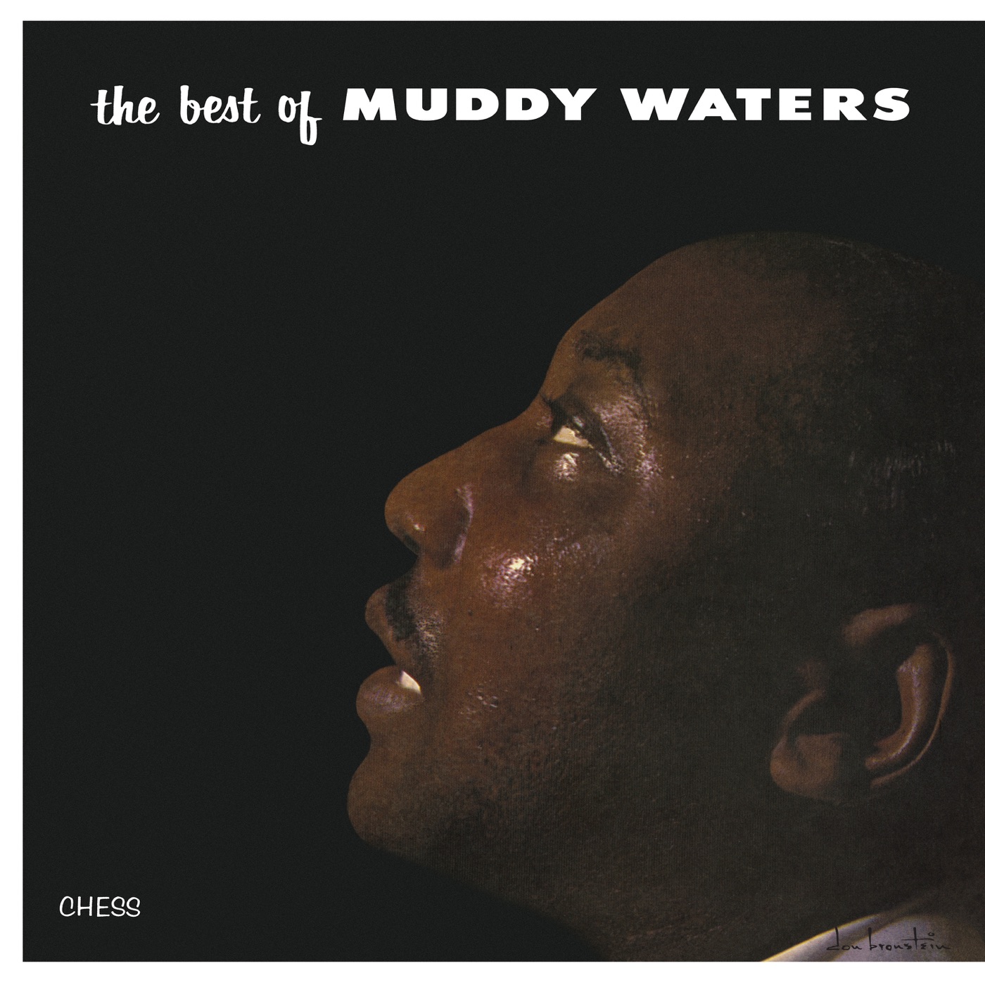 The Best Of Muddy Waters by Muddy Waters