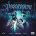 POSSESSIVA song reviews