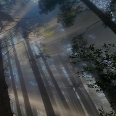 R&S 23 (feat. suffer) - Single