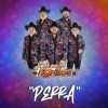 Perra - Single