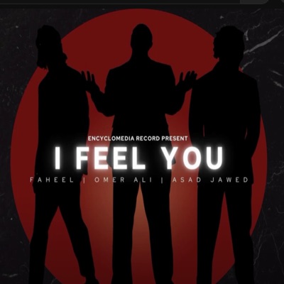 I Feel You (feat. Omer Ali & Faheel) - Single