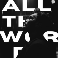 All The Words - Single - Staszek Plewniak