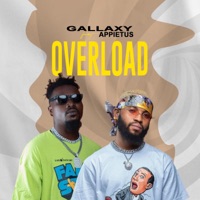 Overload (feat. Appietus) - Single - Gallaxy
