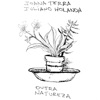 Outra Natureza - Single