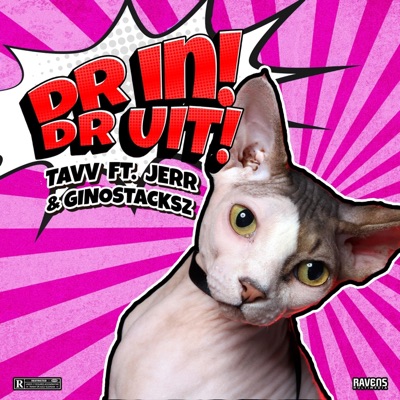Dr In Dr Uit (feat. Tavv & Gino Stacksz) - Single