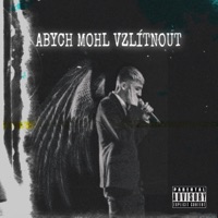 Abych mohl vzlítnout - Single - Call me Poppy