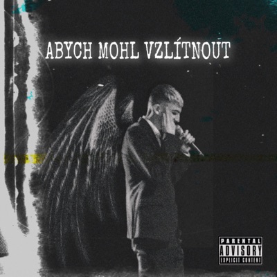 Abych mohl vzlítnout - Single